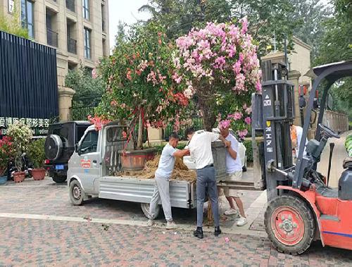 ��ˮ���泵����绰